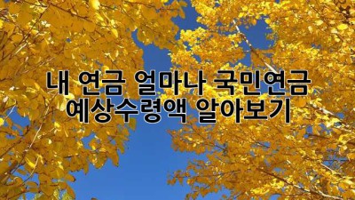 내 연금 얼마나?🤔 국민연금 예상수령액 알아보기 💰