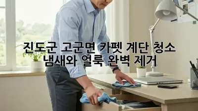 진도군 고군면 카펫 계단 청소, 냄새와 얼룩 완벽 제거!
